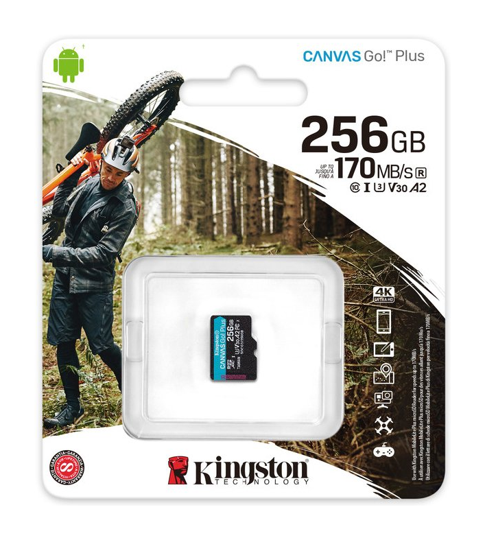 Карта пам'яті MicroSD 256GB Kingston Canvas Go+ U3 V30 (R170/W90)