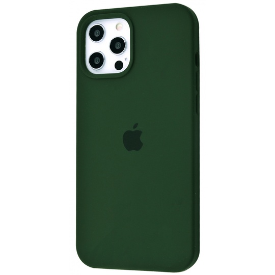 Накладка Silicone Case Full Cover Apple iPhone 12 Pro Max, (66) Pine Green