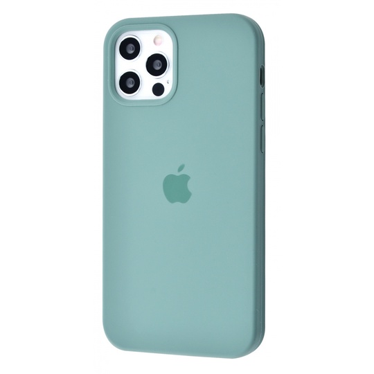 Накладка Silicone Case Full Cover Apple iPhone 12/12 Pro, (69) Cactus