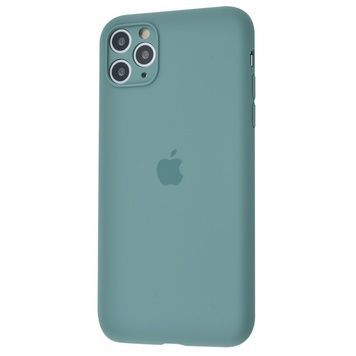 Накладка Silicone Case Camera Protection iPhone 11 Pro Max, (69) Cactus