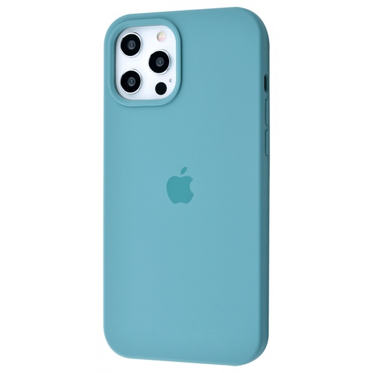 Накладка Silicone Case Full Cover Apple iPhone 12 Pro Max, (69) Cactus